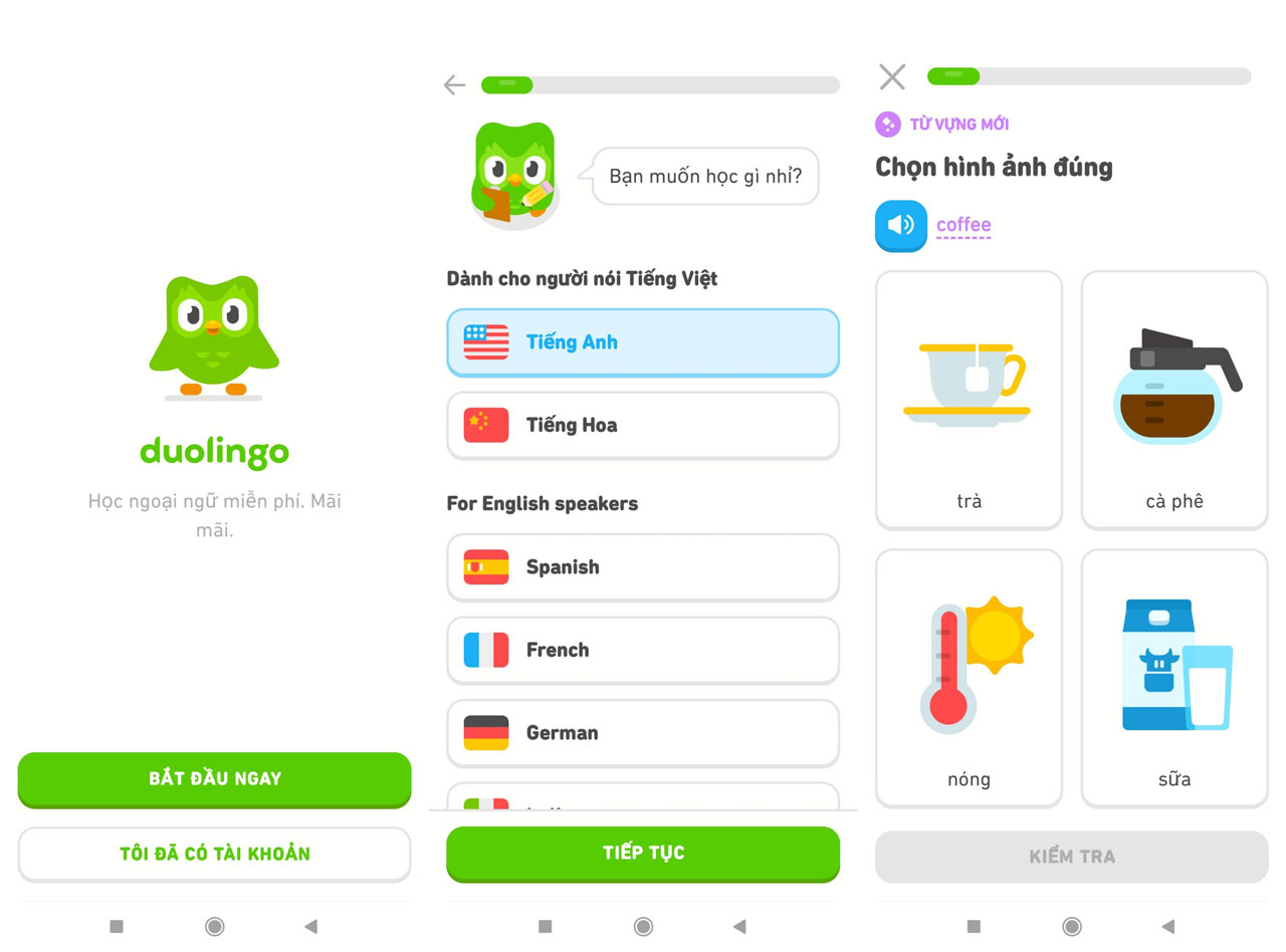 duolingo là gì