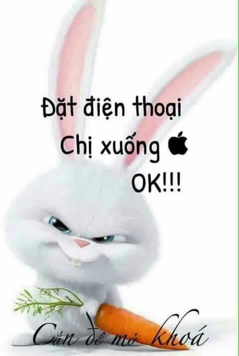 hình nền trắng