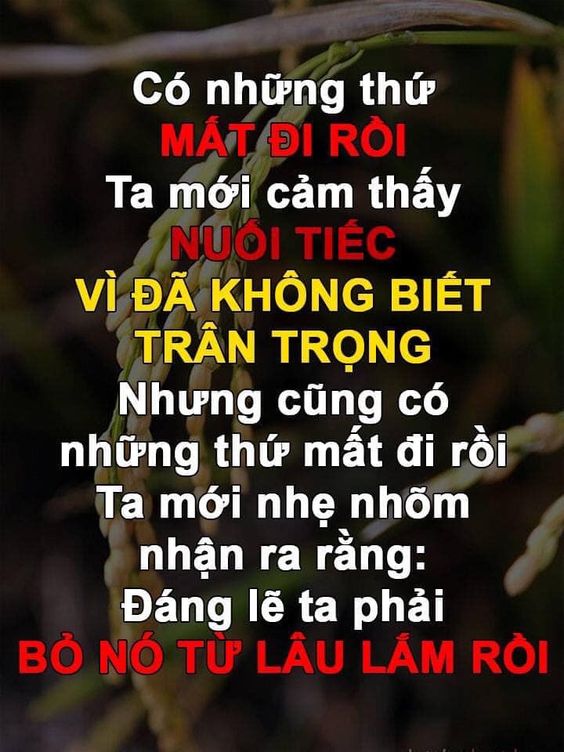 hình nền ý nghĩa về cuộc sống