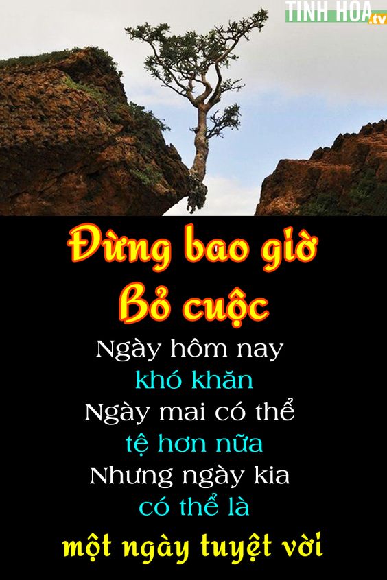 hình nền ý nghĩa về cuộc sống