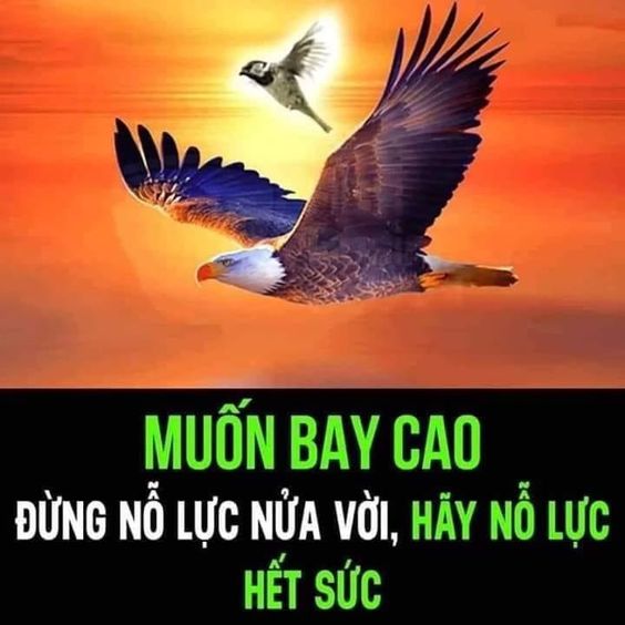 Hình nền ý nghĩa về cuộc sống