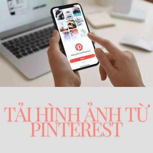 tải hình ảnh từ pinterest về điện thoại và máy tính